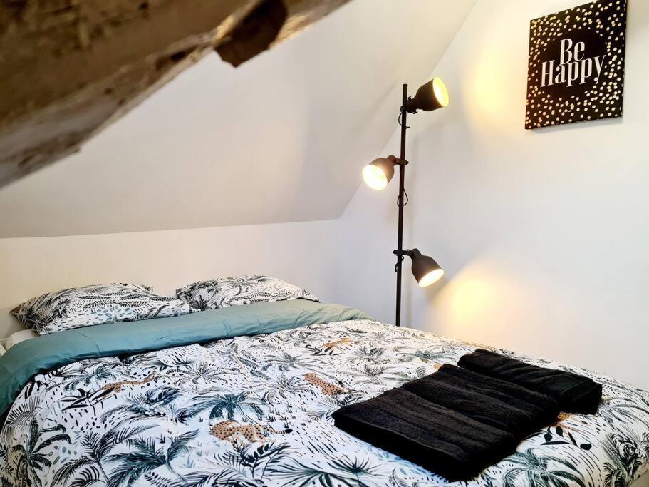 T2 Hyper Centre De Appartement Tours